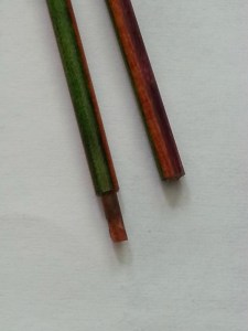 Watermelon ends of broken needles